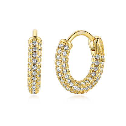 [Royal Jewelry]Delicate Versatile Daily Earrings